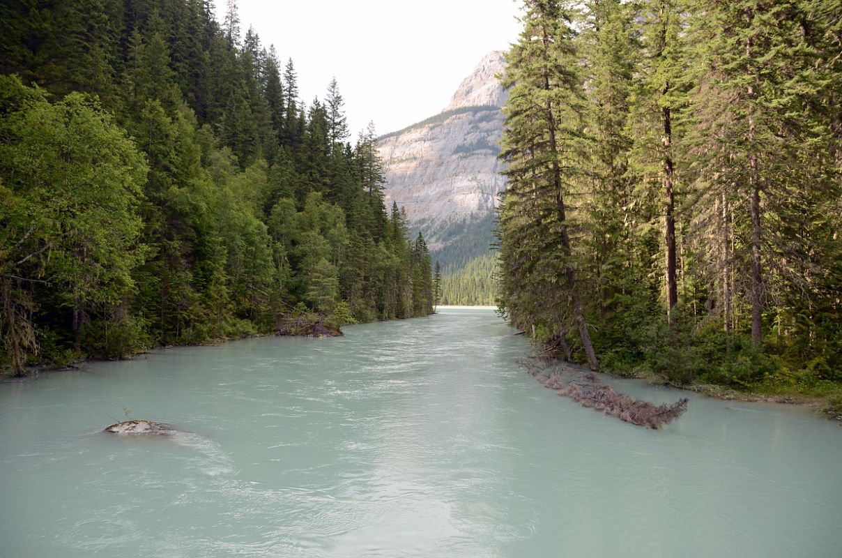 24 Robson River From Berg Lake Trail Between Kinney Lake And Parking Lot